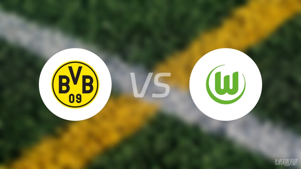 沃尔夫斯堡 沃尔夫斯堡